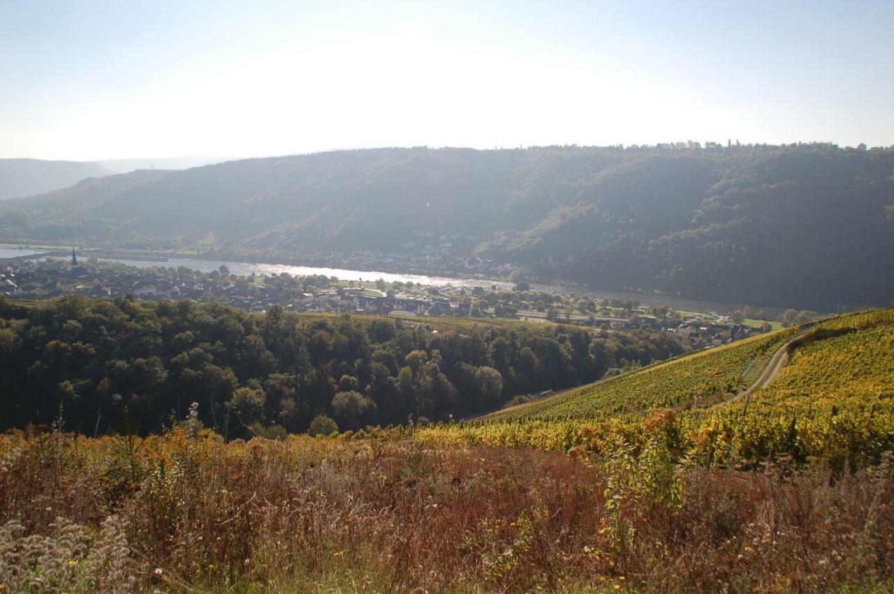 Weingut Stiftshof 호텔 엔키르흐 외부 사진